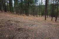 Farm Property for sale in Plumas County, California