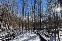 Timberland Property for sale in Nelson County, Virginia