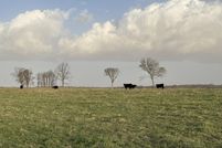 Farm Property for sale in Dade County, Missouri