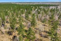 Farm Property for sale in Angelina County, Texas