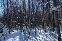 Recreational Property for sale in Iron County, Wisconsin