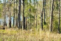 Undeveloped Land for sale in Henry County, Alabama