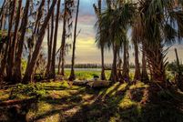 Lakefront Property for sale in Hillsborough County, Florida