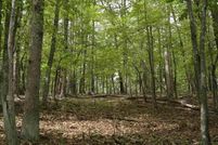 Property for sale in Montgomery County, Virginia