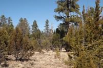 Property for sale in Navajo County, Arizona