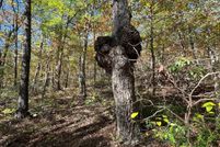Ranch Property for sale in Frederick County, Virginia