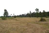 Undeveloped Land for sale in Little River County, Arkansas