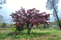 Property for sale in Morris County, New Jersey