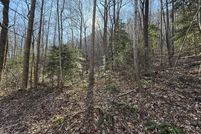 Undeveloped Land for sale in Rutherford County, North Carolina