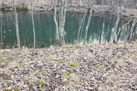 Farm Property for sale in Clearfield County, Pennsylvania