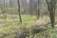 Property for sale in Albemarle County, Virginia