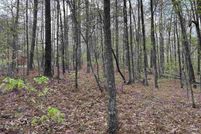 Undeveloped Land for sale in Tuscaloosa County, Alabama