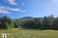 Undeveloped Land for sale in Caledonia County, Vermont