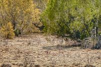 Property for sale in Yavapai County, Arizona