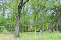 Undeveloped Land for sale in Hinds County, Mississippi