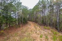 Undeveloped Land for sale in Yalobusha County, Mississippi