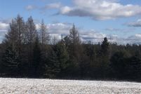 Property for sale in Kalkaska County, Michigan