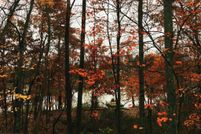 Farm Property for sale in Bucks County, Pennsylvania