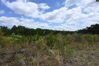 Undeveloped Land for sale in Lexington County, South Carolina