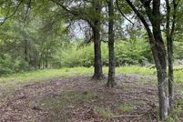 Undeveloped Land for sale in Rains County, Texas