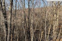 Undeveloped Land for sale in Watauga County, North Carolina