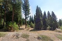 Undeveloped Land for sale in Plumas County, California