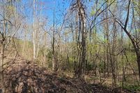 Undeveloped Land for sale in Swain County, North Carolina