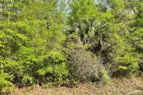 Property for sale in Levy County, Florida