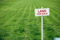 Undeveloped Land for sale in Shelby County, Alabama