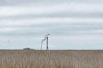 Residential Property for sale in Dorchester County, Maryland