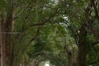 Timberland Property for sale in Marion County, Florida