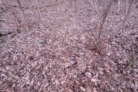 Recreational Property for sale in Owen County, Kentucky