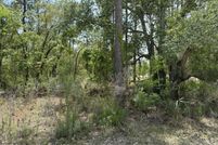 Undeveloped Land for sale in Hernando County, Florida