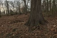 Ranch Property for sale in Morris County, New Jersey