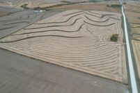 Farm Property for sale in Pottawattamie County, Iowa