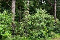 Property for sale in Hampden County, Massachusetts