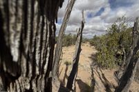 Property for sale in Apache County, Arizona