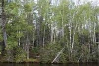 Undeveloped Land for sale in Saint Louis County, Minnesota