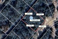 Undeveloped Land for sale in Leon County, Texas