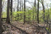 Recreational Property for sale in McDonald County, Missouri