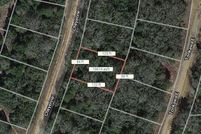 Undeveloped Land for sale in Leon County, Texas