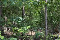 Property for sale in Pike County, Arkansas