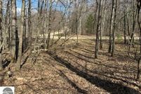 Undeveloped Land for sale in Osceola County, Michigan