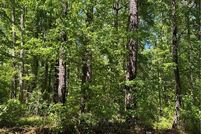 Property for sale in Suffolk City County, Virginia