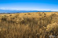Undeveloped Land for sale in Weld County, Colorado