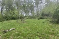 Property for sale in Allen County, Kentucky