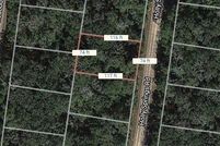 Undeveloped Land for sale in Leon County, Texas