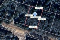 Undeveloped Land for sale in Leon County, Texas
