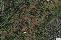 Undeveloped Land for sale in Osceola County, Florida