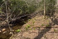 Property for sale in Ashe County, North Carolina